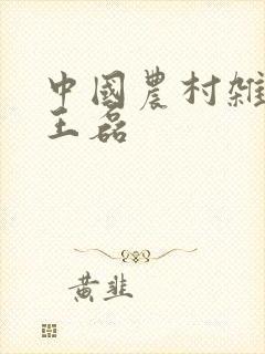 中国农村杂志社王磊