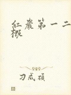 红岩第一二章梗概