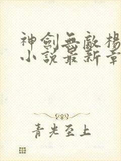 神剑无敌杨小天小说最新章节列表列表