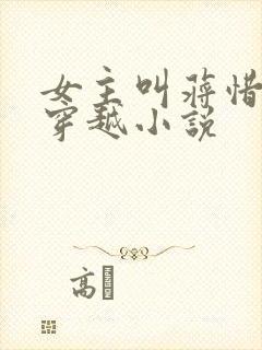 女主叫蒋惜纯的穿越小说