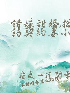 错嫁甜婚,总裁的契约妻小说