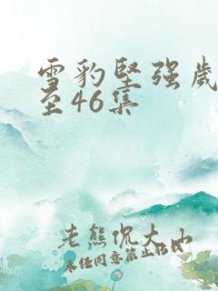 雪豹坚强岁月1至46集