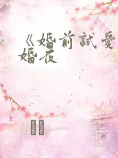 《婚前试爱》新婚夜