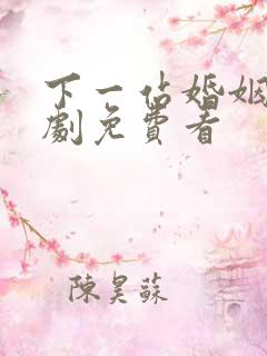 下一站婚姻连续剧免费看