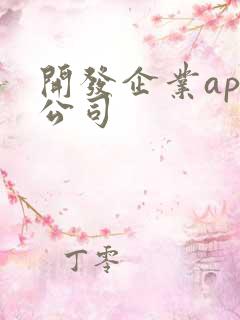 开发企业app公司