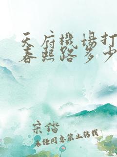 天府机场打车到春熙路多少钱