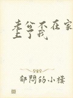 老公不在家公公上了我