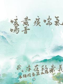 咳黄痰喘气有痰鸣音
