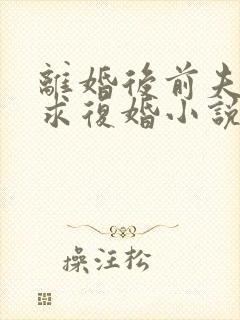 离婚后前夫哭着求复婚小说完整版大结局