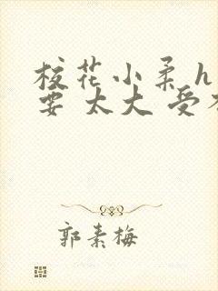 校花小柔 h不要 太大 受不了