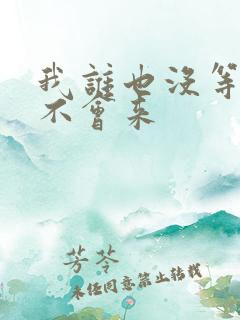 我谁也没等谁也不会来