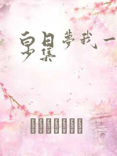 白日梦我一共多少集