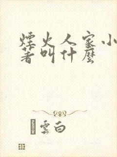 烟火人家小说原著叫什么