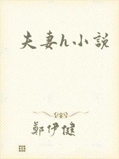 夫妻h小说 夫妻h小说