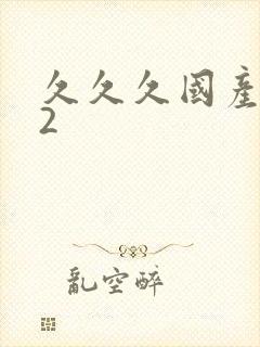 久久久国产精品2