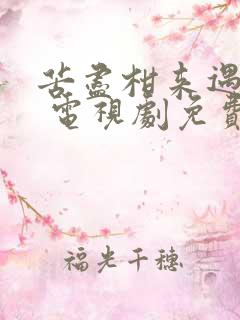 苦尽柑来遇见你 电视剧免费观看国语版