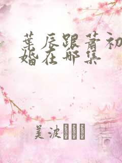 叶辰跟萧初然离婚在哪集