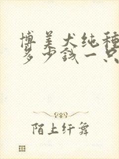 博美犬纯种价格多少钱一只