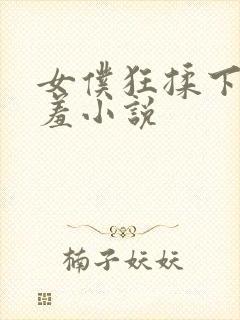 女仆狂揉下部羞羞小说