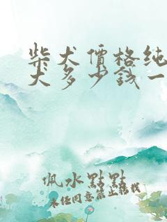 柴犬价格纯种柴犬多少钱一只