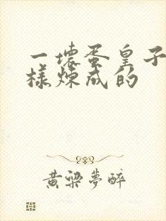 一坏蛋皇子是怎样炼成的 一坏蛋皇子是怎样炼成的