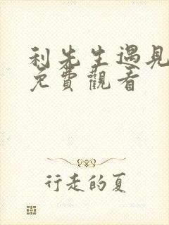 利先生遇见爱情免费观看