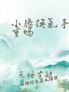 小肠换气手术严重吗 小肠换气手术严重吗