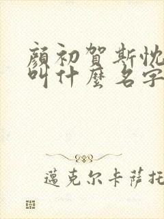 颜初贺斯忱小说叫什么名字