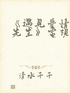 《遇见爱情的利先生》电视剧