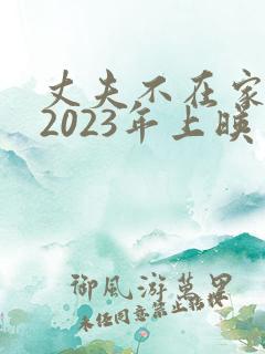 丈夫不在家日剧2023年上映