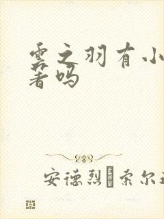 云之羽有小说原著吗
