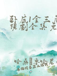 卧底1金三角电视剧全集免费