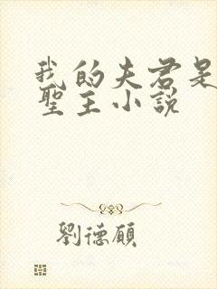我的夫君是苗疆圣主小说