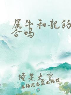 属牛和龙的属相合吗