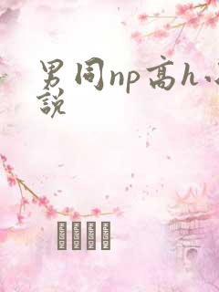男同np高h小说 男同np高h小说