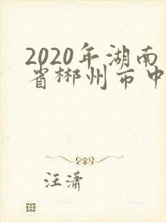 2020年湖南省郴州市中考数学试卷及答案