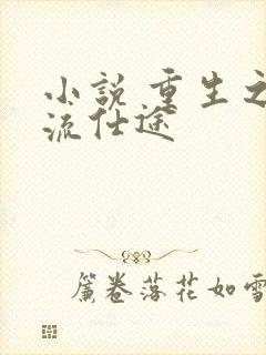 小说 重生之风流仕途