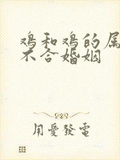鸡和鸡的属相合不合婚姻