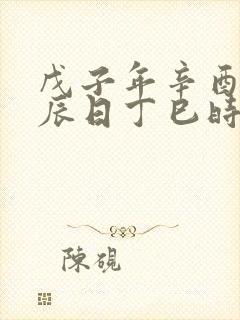 戊子年辛酉月戊辰日丁巳时女命八字详解