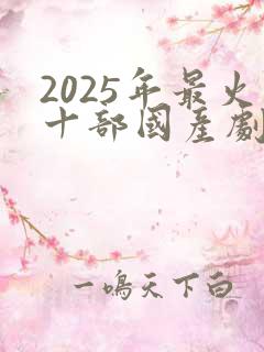 2025年最火十部国产剧