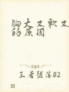 胸大又软又下垂的原因