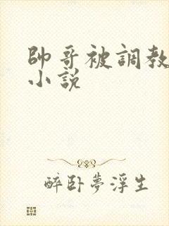 帅哥被调教日常小说