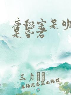 唐懿宗是明君还是昏君