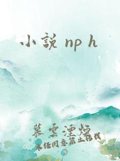 小说 np h