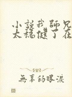 小说我师兄实在太稳健了在线