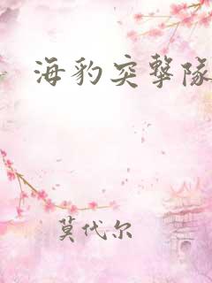 海豹突击队b队