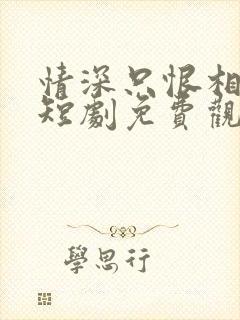 情深只恨相逢晚短剧免费观看