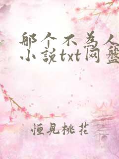 那个不为人知的小说txt网盘资源