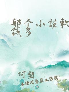 那个小说软件赚钱多