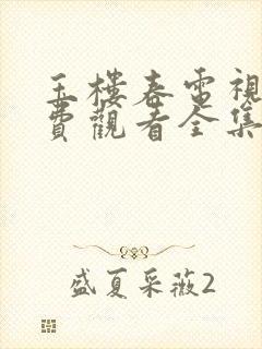 玉楼春电视剧免费观看全集高清